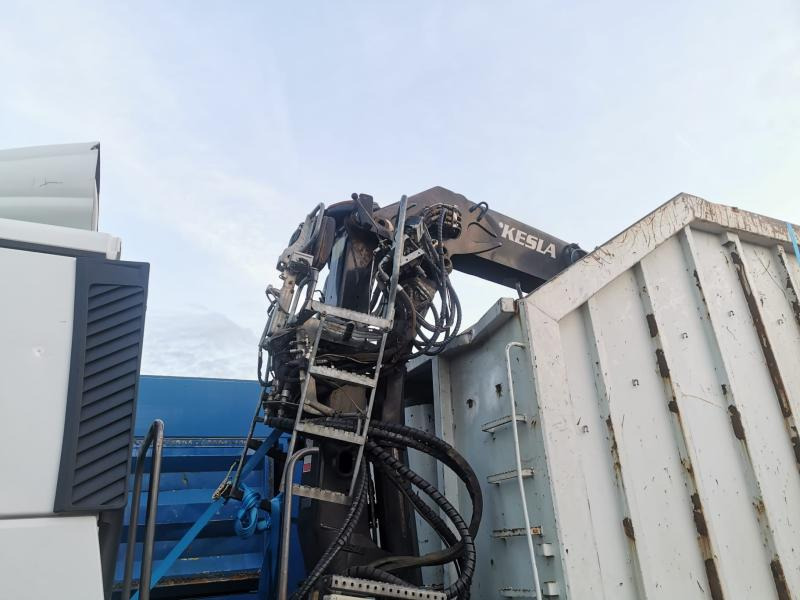 Tipper, Crane truck Renault C-Series 460: picture 21