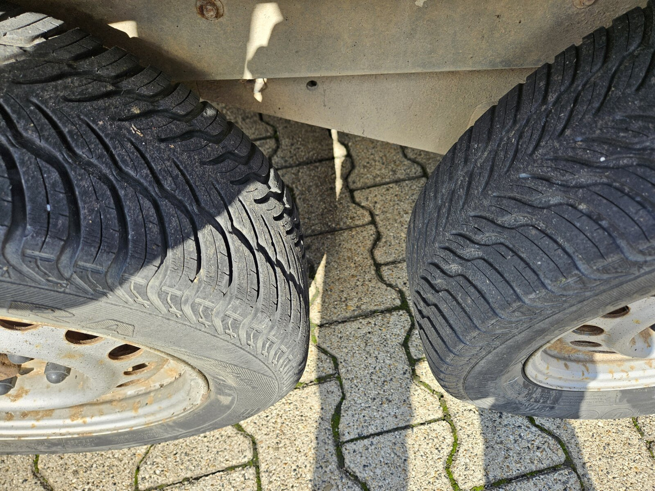 Blomert T2BPA Pferdeanhänger T2BPA Pferdeanhänger - Horse trailer: picture 5 Blomert T2BPA Pferdeanhänger T2BPA Pferdeanhänger - Horse trailer: picture 5