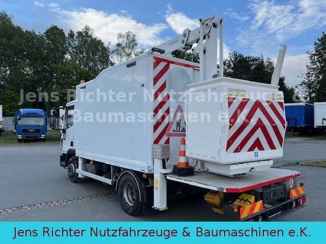 Truck mounted aerial platform Iveco ML 120EL18 Hubarbeitsbühne isoliert 15 Meter: picture 6 Truck mounted aerial platform Iveco ML 120EL18 Hubarbeitsbühne isoliert 15 Meter: picture 6