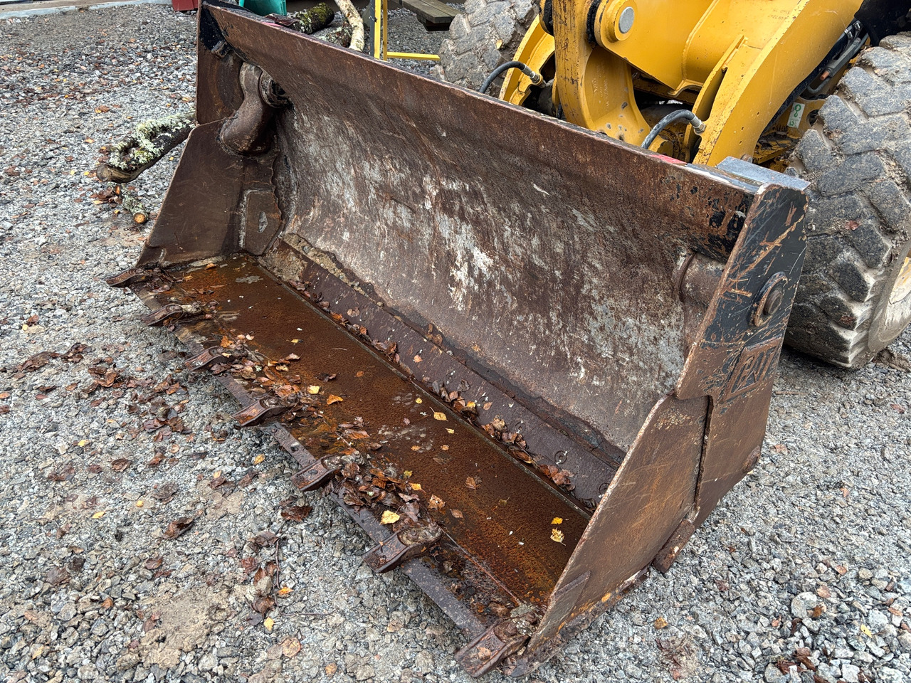 CAT - Bucket: picture 1 CAT - Bucket: picture 1