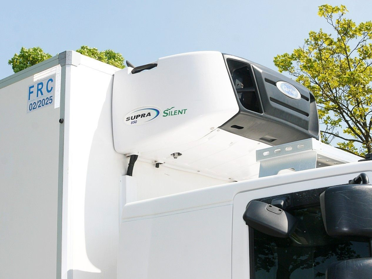 New Refrigerator truck Renault D 26 320 6x2 KUHLKOFFER CARRIER SUPRA 850 XL CAB: picture 11 New Refrigerator truck Renault D 26 320 6x2 KUHLKOFFER CARRIER SUPRA 850 XL CAB: picture 11