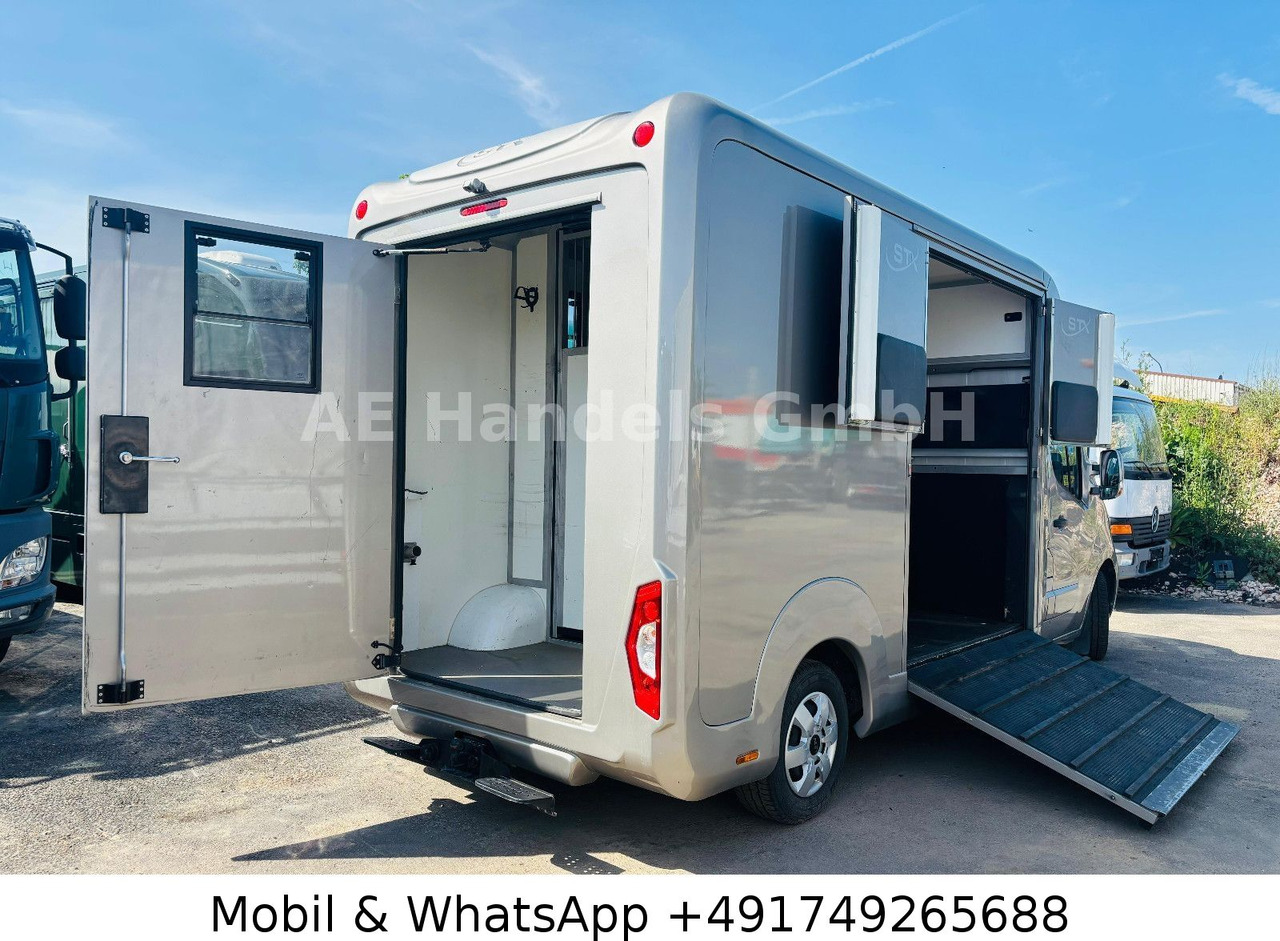 Renault Master STX Horsebox *Haras/2-Horses/3-Sitze - Horse trailer: picture 5 Renault Master STX Horsebox *Haras/2-Horses/3-Sitze - Horse trailer: picture 5
