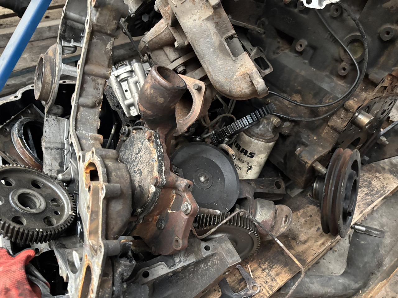 Manitou MLT 634-120 Perkins Silnik Blok Tryby Koło Pasowe Pokrywa Wał Korbowy CZĘŚCI - Crankshaft for Agricultural machinery: picture 5 Manitou MLT 634-120 Perkins Silnik Blok Tryby Koło Pasowe Pokrywa Wał Korbowy CZĘŚCI - Crankshaft for Agricultural machinery: picture 5