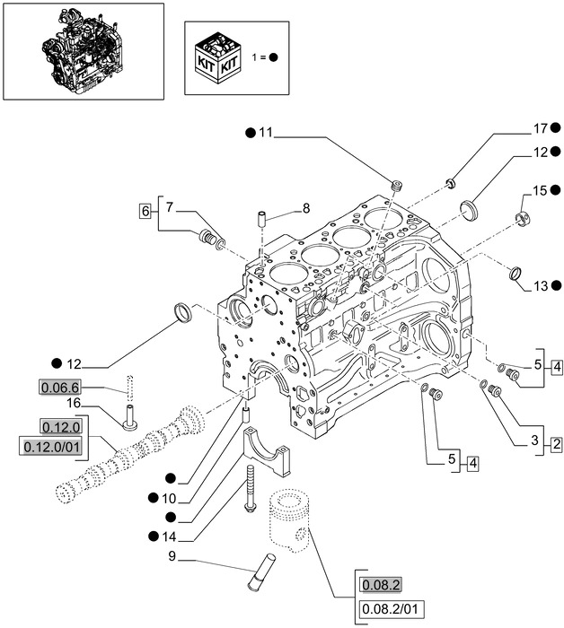 New Holland T6010 Blok cylindra 2830738 - Cylinder block for Farm tractor: picture 1 New Holland T6010 Blok cylindra 2830738 - Cylinder block for Farm tractor: picture 1
