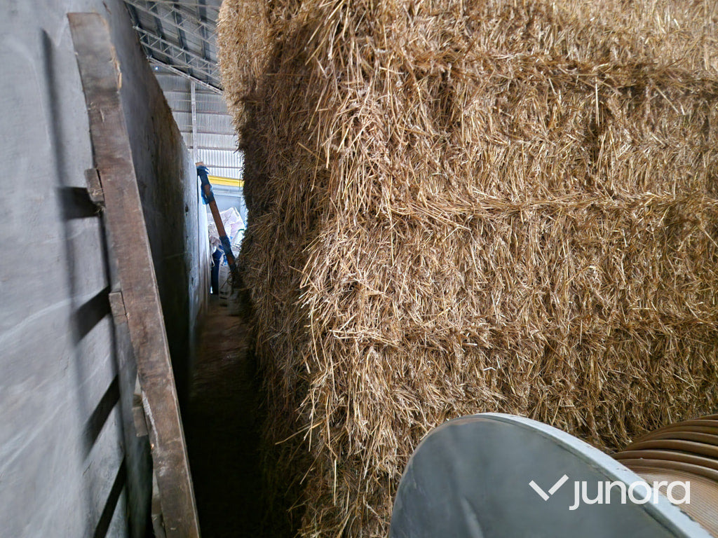 Vetehalm - 2022 - Livestock equipment: picture 2 Vetehalm - 2022 - Livestock equipment: picture 2