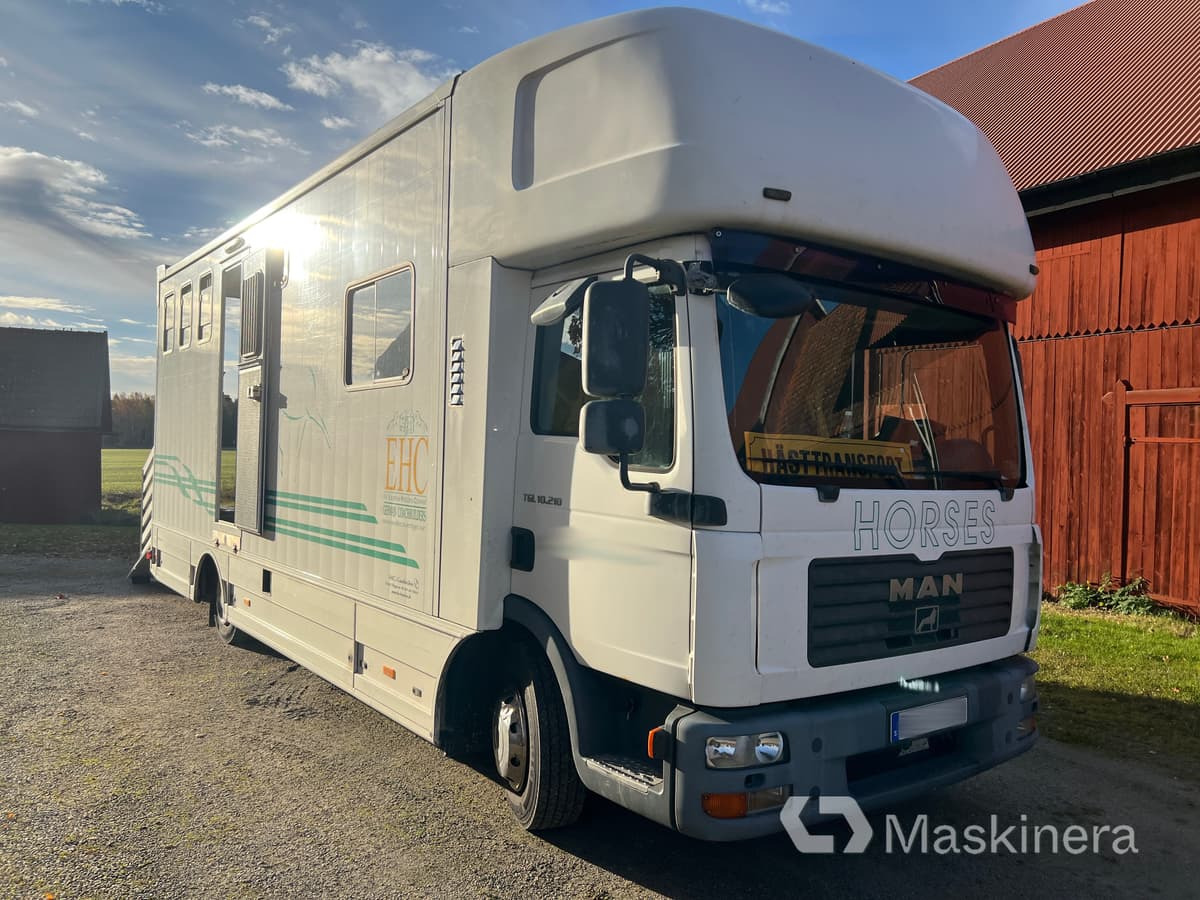 Hästlastbil MAN TGL 10.210 4X2 BL - Horse truck: picture 3 Hästlastbil MAN TGL 10.210 4X2 BL - Horse truck: picture 3