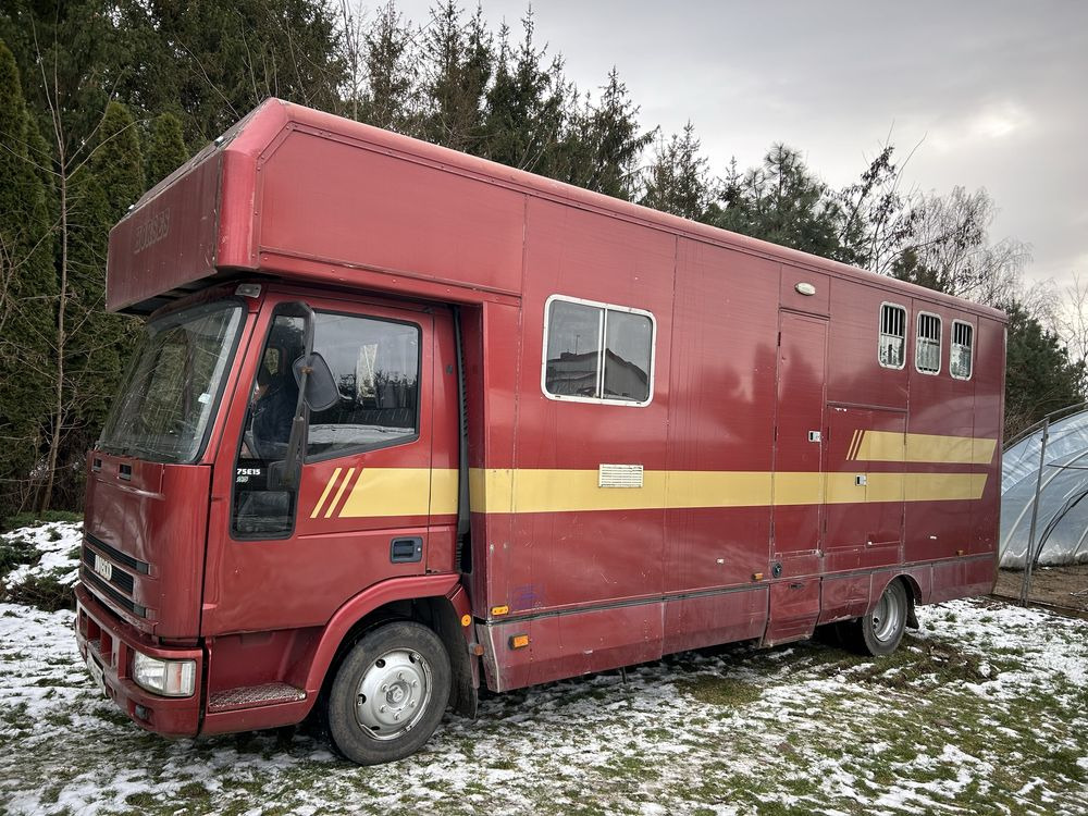 Kamper koniowoz Iveco 2w1 - Horse truck: picture 1 Kamper koniowoz Iveco 2w1 - Horse truck: picture 1