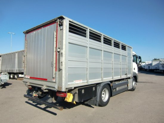 MAN TGS 18.420 Tiertransporter,Euro 6, Manual Seilwinde, el. Ladebordwand Voll Luft - Horse truck: picture 4 MAN TGS 18.420 Tiertransporter,Euro 6, Manual Seilwinde, el. Ladebordwand Voll Luft - Horse truck: picture 4