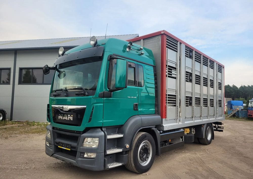 MAN TGS 18.400 Euro 6 do żywca - Livestock truck: picture 1 MAN TGS 18.400 Euro 6 do żywca - Livestock truck: picture 1