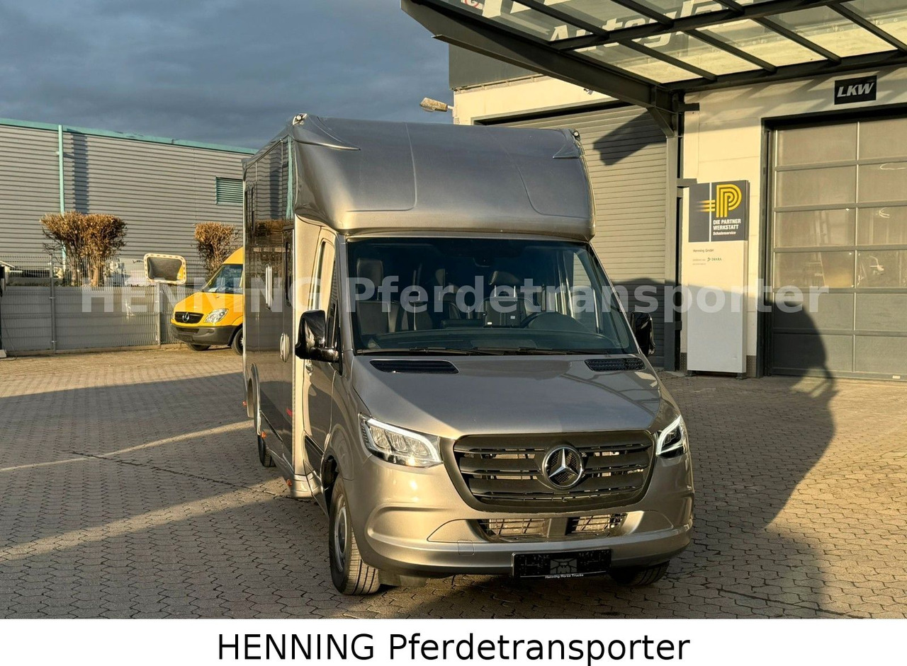 Mercedes-Benz Sprinter 3 - Sitzer - Livestock truck: picture 2 Mercedes-Benz Sprinter 3 - Sitzer - Livestock truck: picture 2