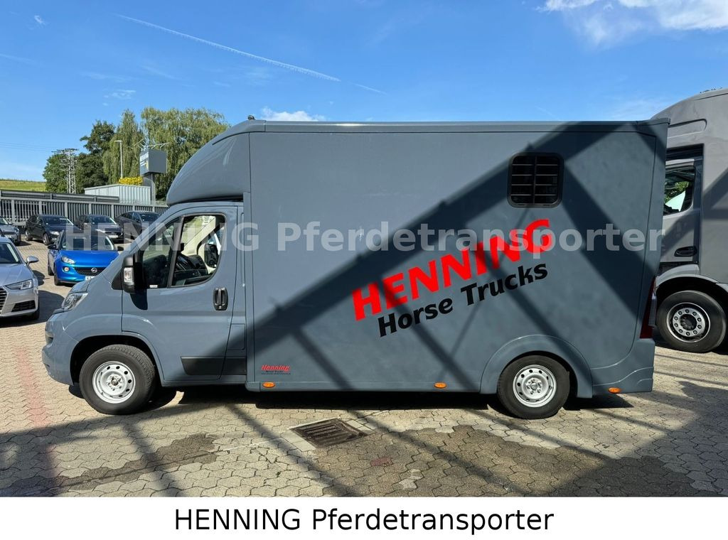 Horse truck Opel Movano 3 - Sitzer *AUFBAU NEU*: picture 10 Horse truck Opel Movano 3 - Sitzer *AUFBAU NEU*: picture 10
