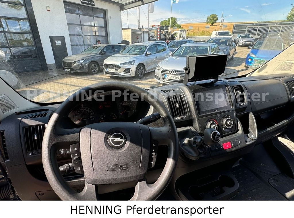 Horse truck Opel Movano 3 - Sitzer *AUFBAU NEU*: picture 12 Horse truck Opel Movano 3 - Sitzer *AUFBAU NEU*: picture 12