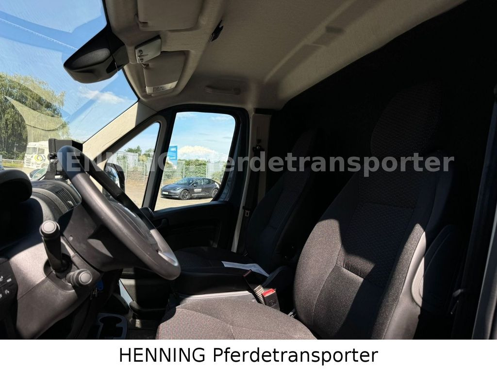 Horse truck Opel Movano 3 - Sitzer *AUFBAU NEU*: picture 11 Horse truck Opel Movano 3 - Sitzer *AUFBAU NEU*: picture 11