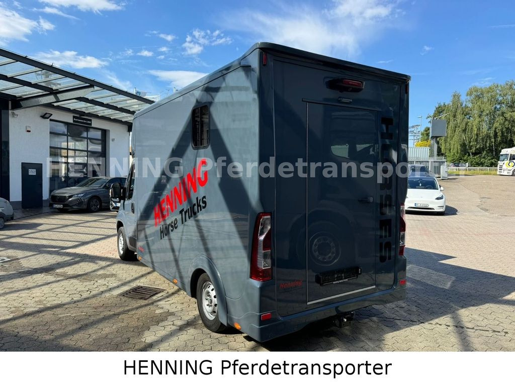 Horse truck Opel Movano 3 - Sitzer *AUFBAU NEU*: picture 8 Horse truck Opel Movano 3 - Sitzer *AUFBAU NEU*: picture 8