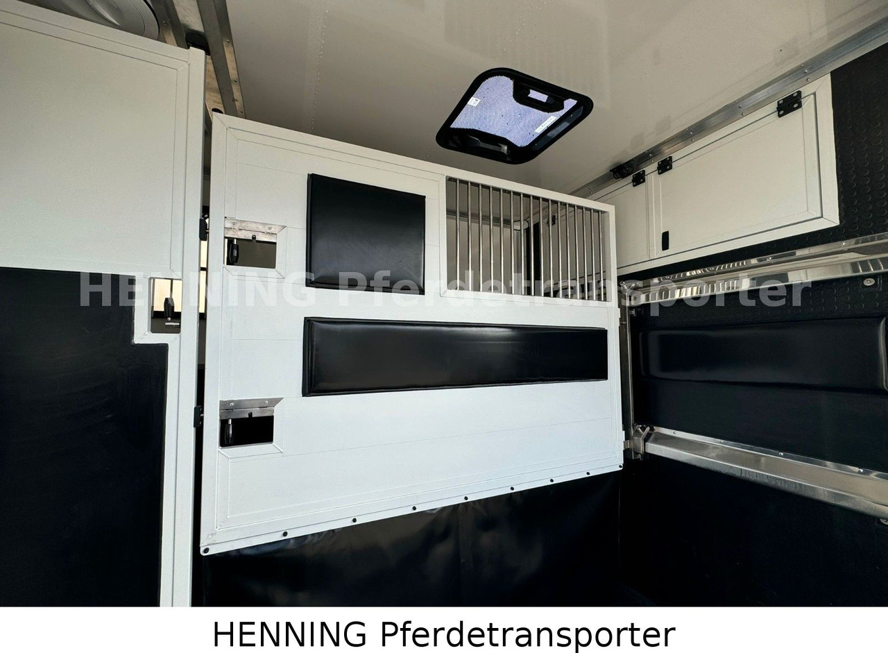 Renault Master 3 - Sitzer *NEUES MODELL* - Livestock truck: picture 5 Renault Master 3 - Sitzer *NEUES MODELL* - Livestock truck: picture 5