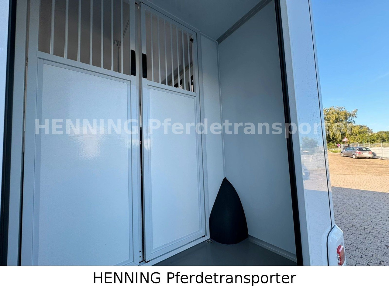 Livestock truck Renault Master 3 - Sitzer *NEUES MODELL*: picture 13 Livestock truck Renault Master 3 - Sitzer *NEUES MODELL*: picture 13