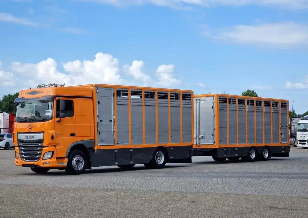 DAF XF 460 4x2 SpaceCab – Menke Livestock | 1 pokład | Euro 6 | 2016 - Livestock truck: picture 1 DAF XF 460 4x2 SpaceCab – Menke Livestock | 1 pokład | Euro 6 | 2016 - Livestock truck: picture 1