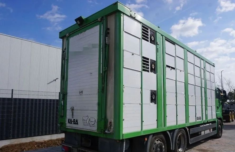 MAN TGS 26.440 ZABUDOWA KABA CAŁA ALUMINIOWA– samochód do transportu zwierząt/koni – 3 pokłady / EURO 5/6X2/PODNOSZONY DACH - Livestock truck: picture 2 MAN TGS 26.440 ZABUDOWA KABA CAŁA ALUMINIOWA– samochód do transportu zwierząt/koni – 3 pokłady / EURO 5/6X2/PODNOSZONY DACH - Livestock truck: picture 2