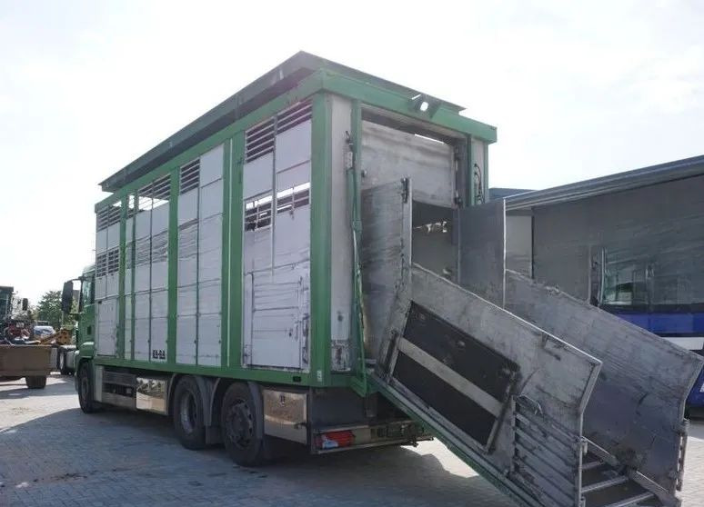 MAN TGS 26.440 ZABUDOWA KABA CAŁA ALUMINIOWA– samochód do transportu zwierząt/koni – 3 pokłady / EURO 5/6X2/PODNOSZONY DACH - Livestock truck: picture 4 MAN TGS 26.440 ZABUDOWA KABA CAŁA ALUMINIOWA– samochód do transportu zwierząt/koni – 3 pokłady / EURO 5/6X2/PODNOSZONY DACH - Livestock truck: picture 4