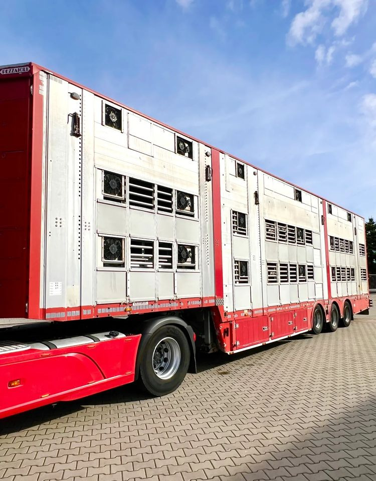 Pezzaioli NACZEPA 2017 / 3 POZIOMY / TRANSPORT ZWIERZĄT / HYDRAULIKA / STEROWANIE PILOTEM/ PODNOSZONY DACH / - Livestock semi-trailer: picture 2 Pezzaioli NACZEPA 2017 / 3 POZIOMY / TRANSPORT ZWIERZĄT / HYDRAULIKA / STEROWANIE PILOTEM/ PODNOSZONY DACH / - Livestock semi-trailer: picture 2
