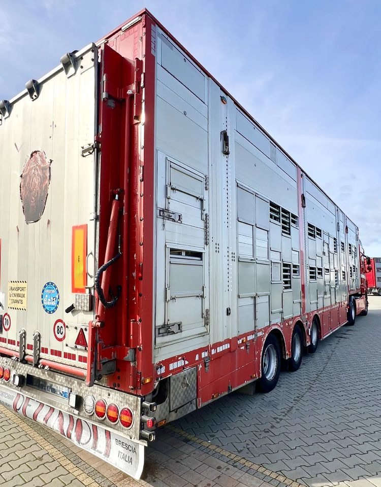 Pezzaioli NACZEPA 2017 / 3 POZIOMY / TRANSPORT ZWIERZĄT / HYDRAULIKA / STEROWANIE PILOTEM/ PODNOSZONY DACH / - Livestock semi-trailer: picture 3 Pezzaioli NACZEPA 2017 / 3 POZIOMY / TRANSPORT ZWIERZĄT / HYDRAULIKA / STEROWANIE PILOTEM/ PODNOSZONY DACH / - Livestock semi-trailer: picture 3
