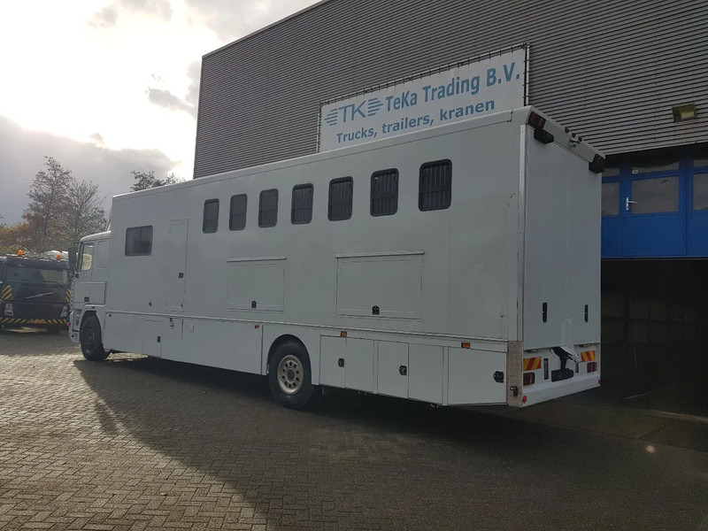DAF 95.350 Paardenwagen met zitverblijf 7 paarden 7 horses - Horse truck: picture 3 DAF 95.350 Paardenwagen met zitverblijf 7 paarden 7 horses - Horse truck: picture 3