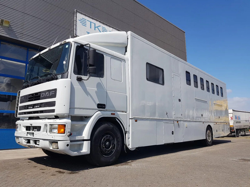 DAF 95.350 Paardenwagen met zitverblijf 7 paarden 7 horses - Horse truck: picture 1 DAF 95.350 Paardenwagen met zitverblijf 7 paarden 7 horses - Horse truck: picture 1