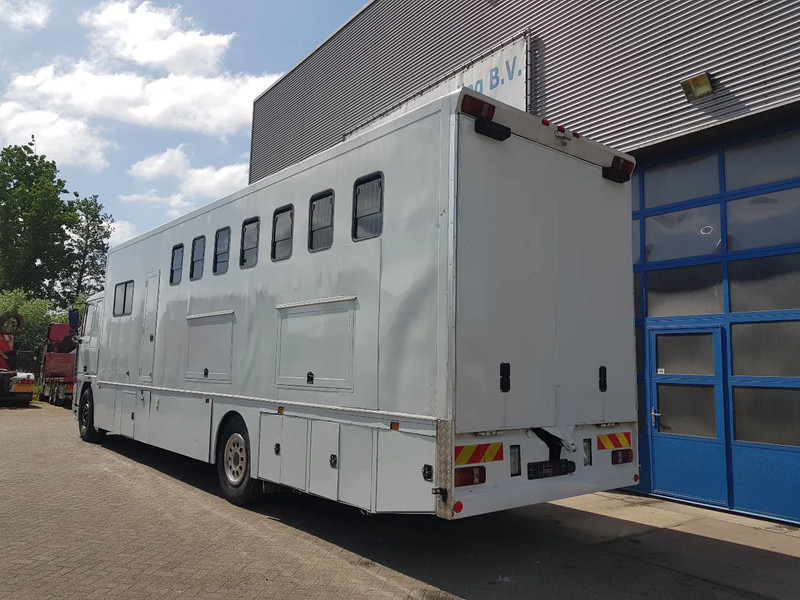 DAF 95.350 Paardenwagen met zitverblijf 7 paarden 7 horses - Horse truck: picture 4 DAF 95.350 Paardenwagen met zitverblijf 7 paarden 7 horses - Horse truck: picture 4