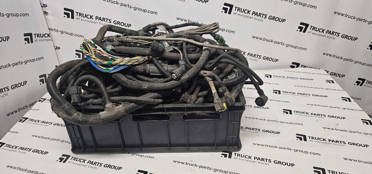 DAF DAF EURO6 XF, 106XF EURO6 emission frame cables set wiring cable harness, electric system, connectors 1977505, 2034711, 1952939, 1891665, 1891661, 1891664, 1926305, 1811111, 1870423, 2111173, 2027717, - Spare parts: picture 1 DAF DAF EURO6 XF, 106XF EURO6 emission frame cables set wiring cable harness, electric system, connectors 1977505, 2034711, 1952939, 1891665, 1891661, 1891664, 1926305, 1811111, 1870423, 2111173, 2027717, - Spare parts: picture 1