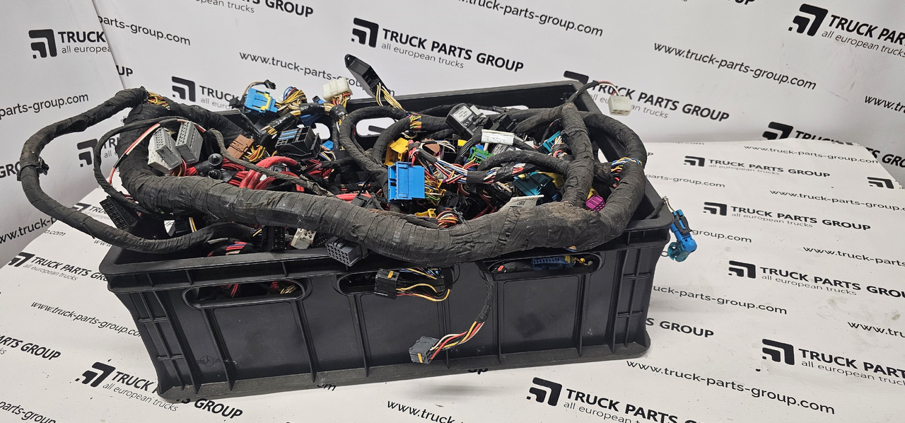 DAF DAF XF, 106XF 106, EURO6 emission cab cables set, wiring harness electric installation units, connectors units 1900909, 1977849, 1928552, 2106301, 1829321, 2106901, 2216416, 1854549, 2030646, 1829325, - Spare parts: picture 1 DAF DAF XF, 106XF 106, EURO6 emission cab cables set, wiring harness electric installation units, connectors units 1900909, 1977849, 1928552, 2106301, 1829321, 2106901, 2216416, 1854549, 2030646, 1829325, - Spare parts: picture 1