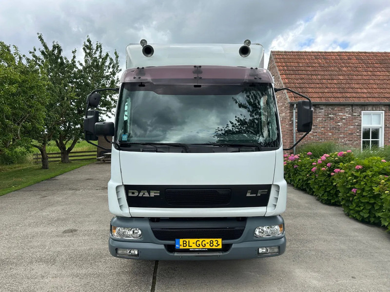 DAF LF 45.170 / EURO 3 / NL TRUCK / VERKOOPOBOUW / VERKAUFSAUFBAU - Box truck: picture 3 DAF LF 45.170 / EURO 3 / NL TRUCK / VERKOOPOBOUW / VERKAUFSAUFBAU - Box truck: picture 3