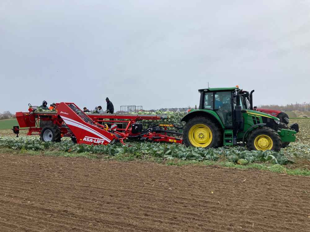 ASA-Lift TC-1010XL - Grape harvesting machine: picture 1 ASA-Lift TC-1010XL - Grape harvesting machine: picture 1