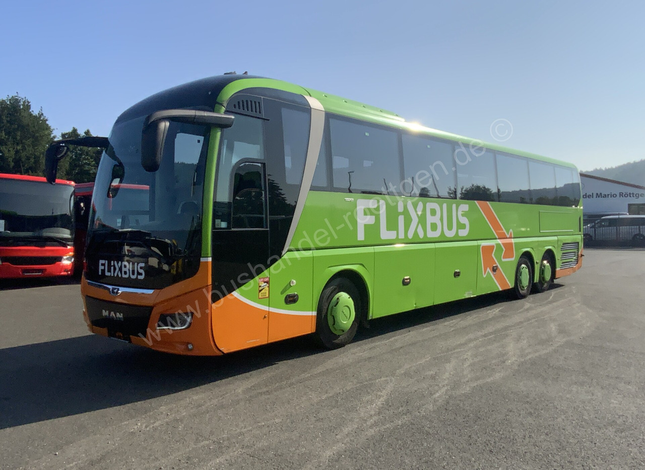 MAN R 08 Lions Coach L - Coach: picture 2 MAN R 08 Lions Coach L - Coach: picture 2