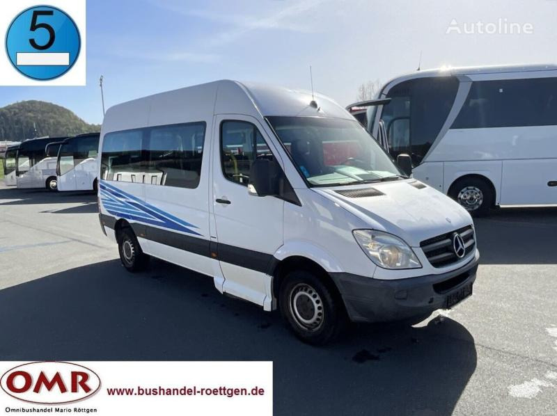 Minibus, Passenger van Mercedes Sprinter 313 CDI: picture 1