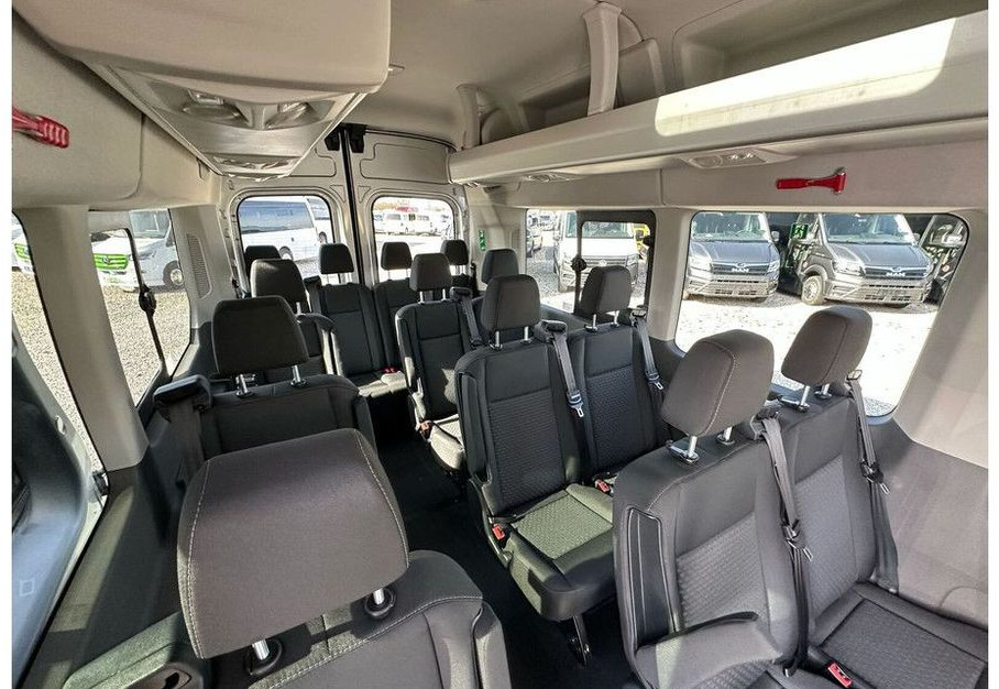 Minibus, Passenger van Ford Transit: picture 12