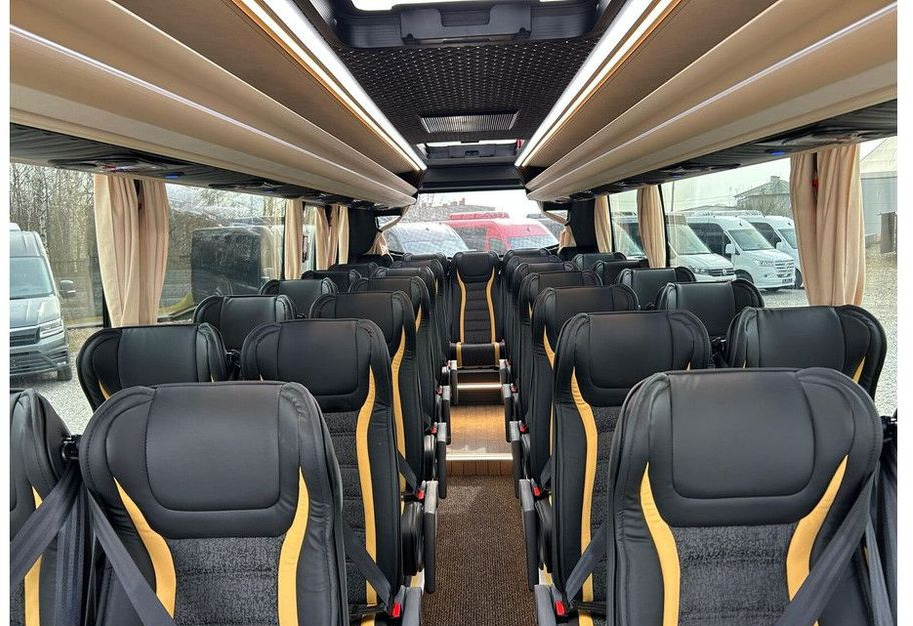 Minibus, Passenger van Mercedes-Benz Sprinter 519: picture 19