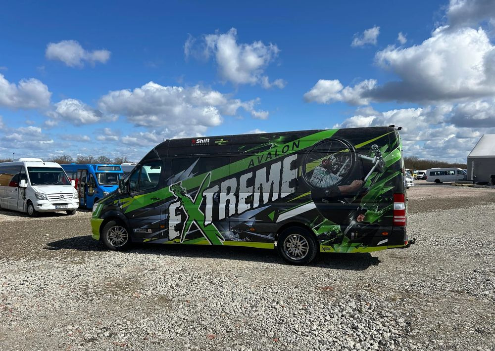 Minibus, Passenger van Mercedes-Benz Sprinter: picture 12