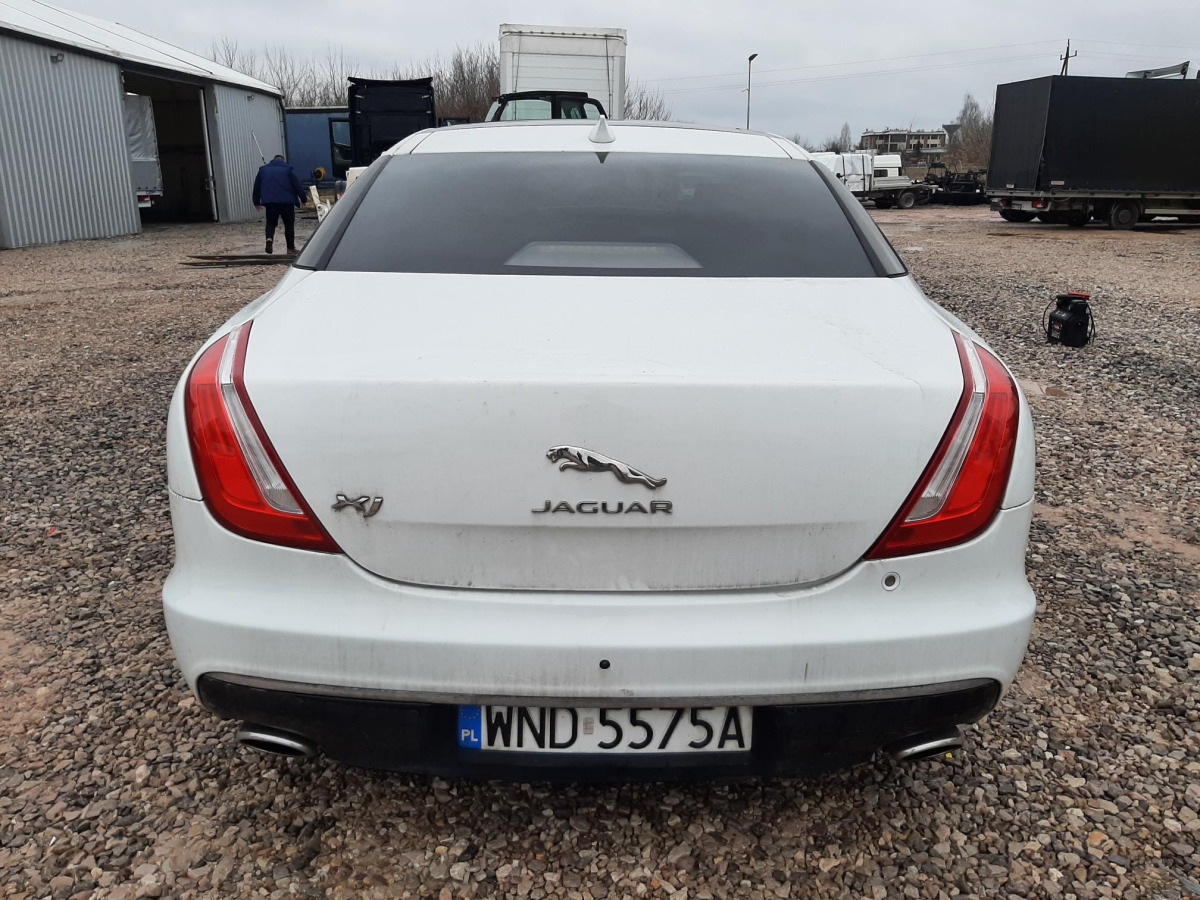 Car JAGUAR XJ SEDAN: picture 6