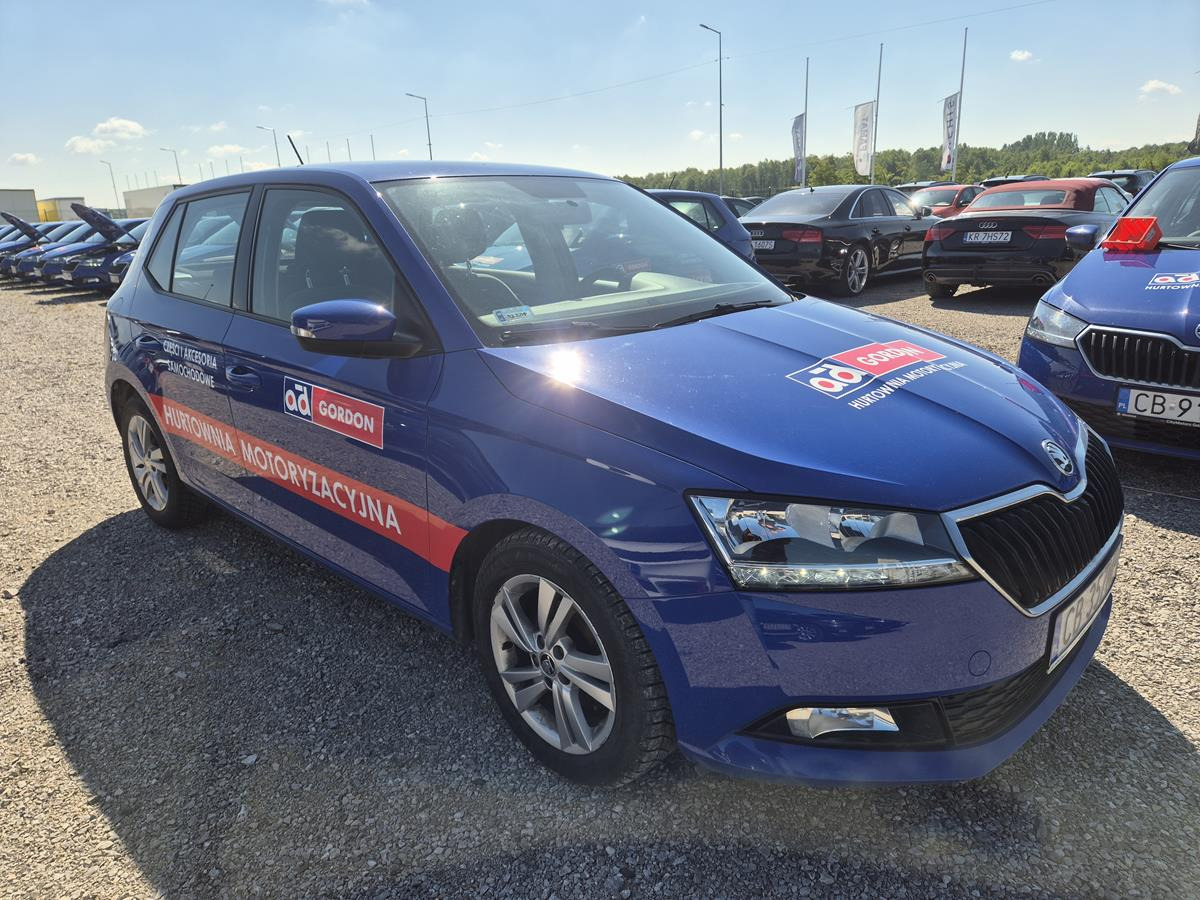 SKODA FABIA HATCHBACK - Hatchback: picture 1 SKODA FABIA HATCHBACK - Hatchback: picture 1