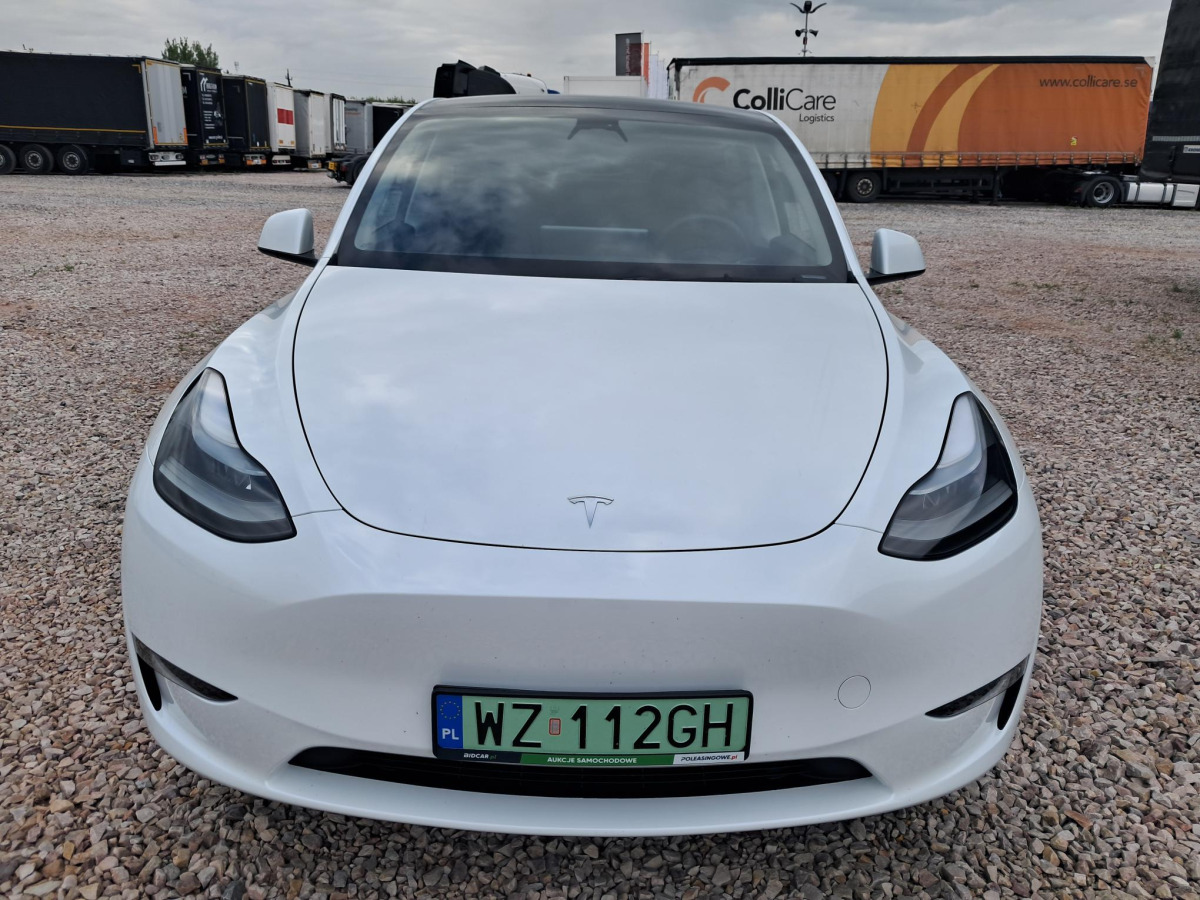 TESLA MODEL Y SUV - SUV: picture 2 TESLA MODEL Y SUV - SUV: picture 2