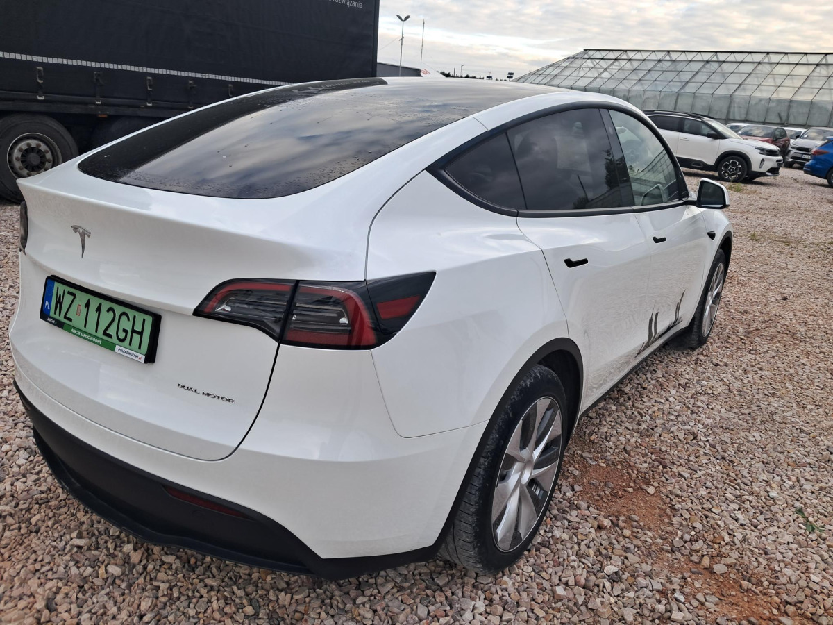 TESLA MODEL Y SUV - SUV: picture 4 TESLA MODEL Y SUV - SUV: picture 4
