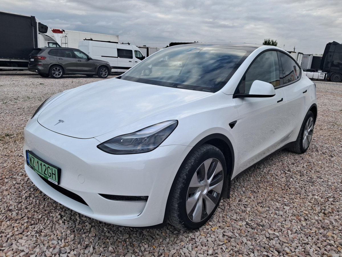 TESLA MODEL Y SUV - SUV: picture 3 TESLA MODEL Y SUV - SUV: picture 3