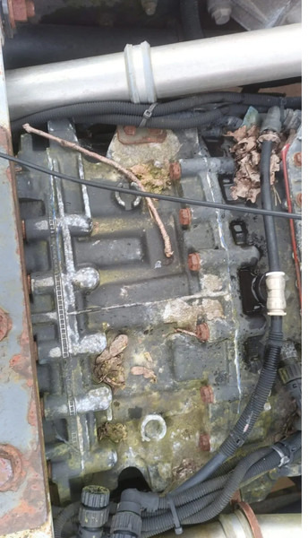 Renault Premium 420 Dci Engine + Automatic Gearbox - Engine for Truck: picture 5 Renault Premium 420 Dci Engine + Automatic Gearbox - Engine for Truck: picture 5