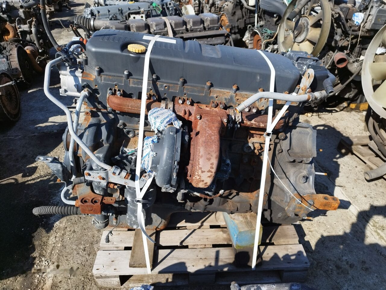 IVECO F3GFE611B-C050 IVECO STRALIS TRAKKER - Engine for Truck: picture 4 IVECO F3GFE611B-C050 IVECO STRALIS TRAKKER - Engine for Truck: picture 4