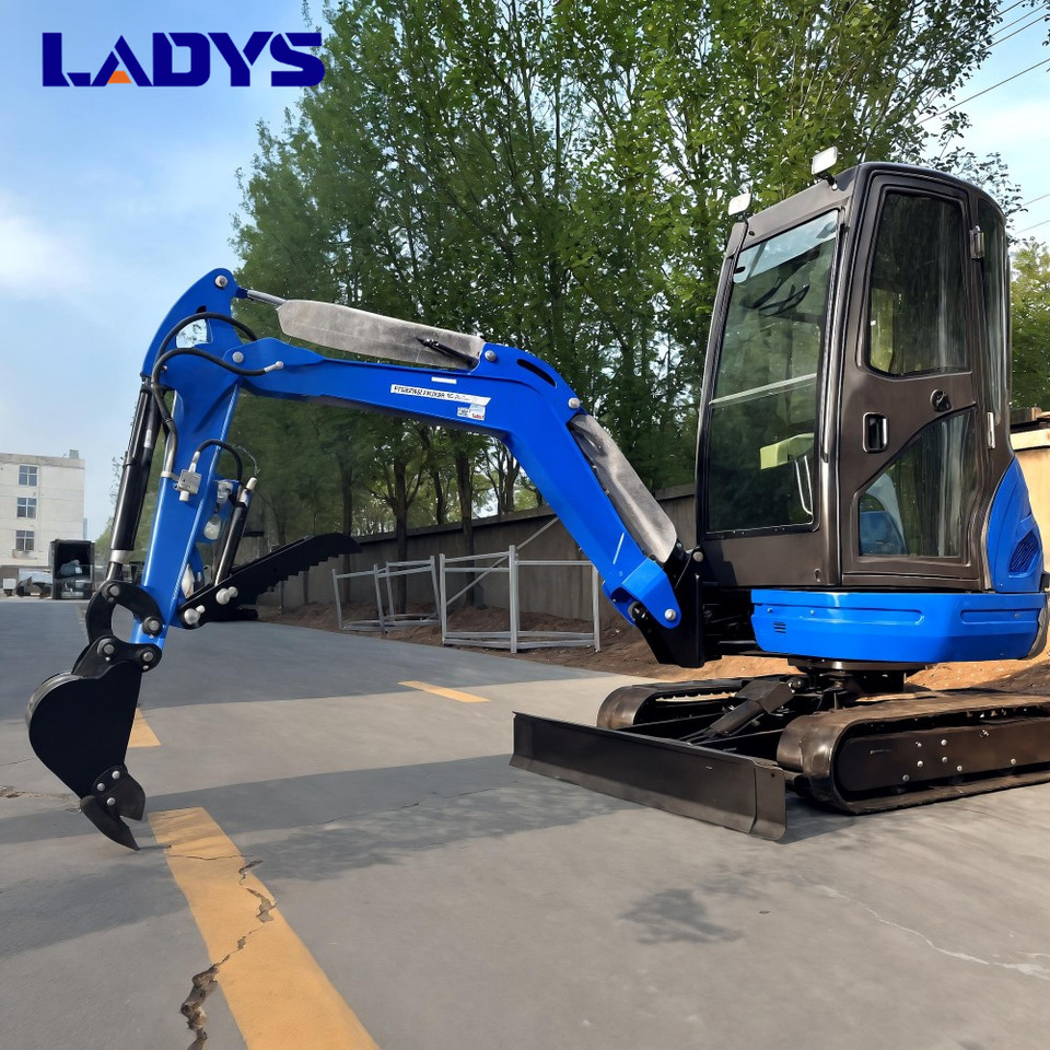 LADYS DY25U Mini Excavator CE Certification Kubota Engine(Factory Outlet) Mini Pelle Minibagger Minikoparka Miniexcavadora - Mini excavator: picture 4 LADYS DY25U Mini Excavator CE Certification Kubota Engine(Factory Outlet) Mini Pelle Minibagger Minikoparka Miniexcavadora - Mini excavator: picture 4