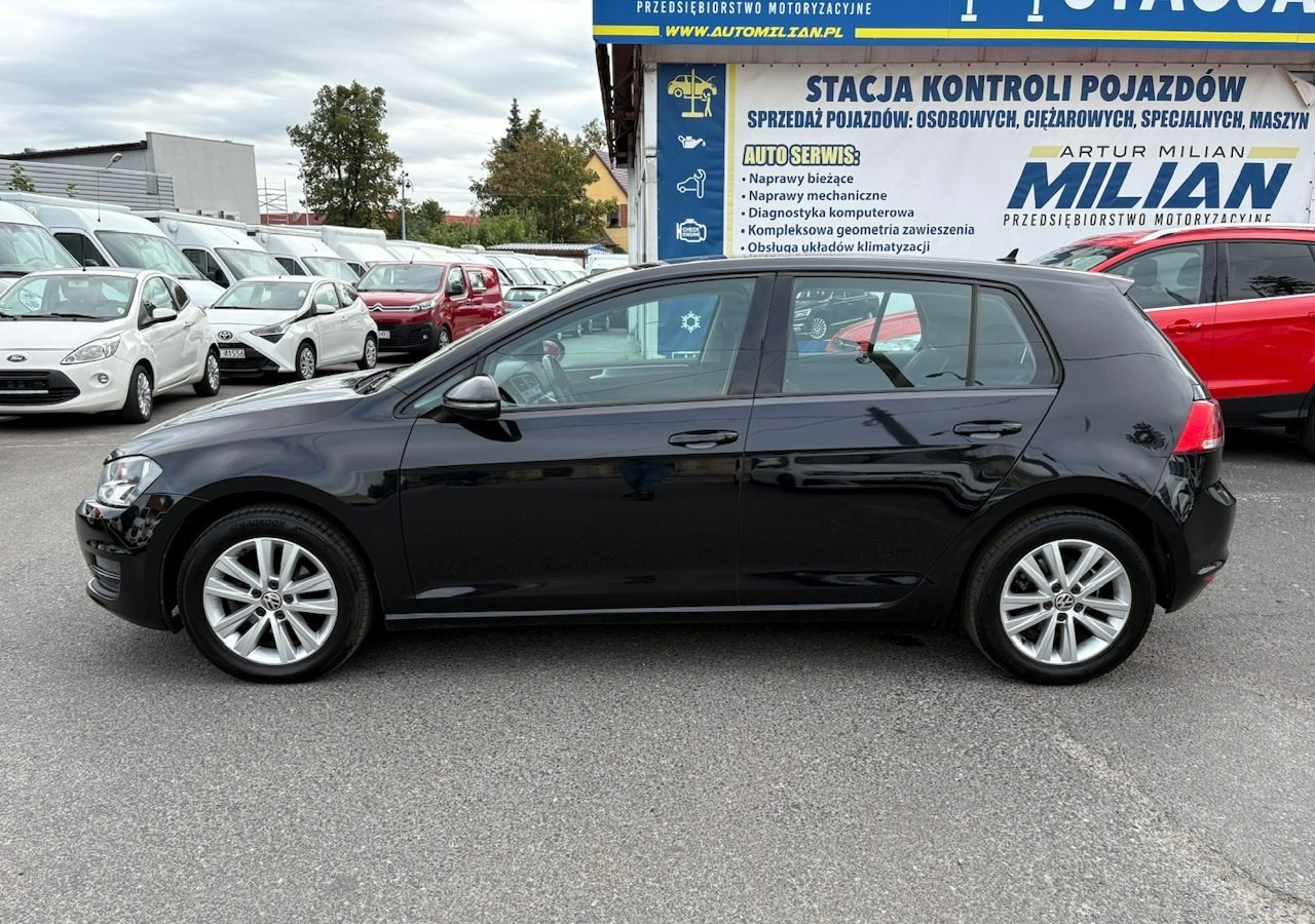 Volkswagen Golf VII VII 1,6 TDI 110KM 153TKM Klimatronik Navi Alu PDC 2015 Bez wkładu fi - Hatchback: picture 3 Volkswagen Golf VII VII 1,6 TDI 110KM 153TKM Klimatronik Navi Alu PDC 2015 Bez wkładu fi - Hatchback: picture 3