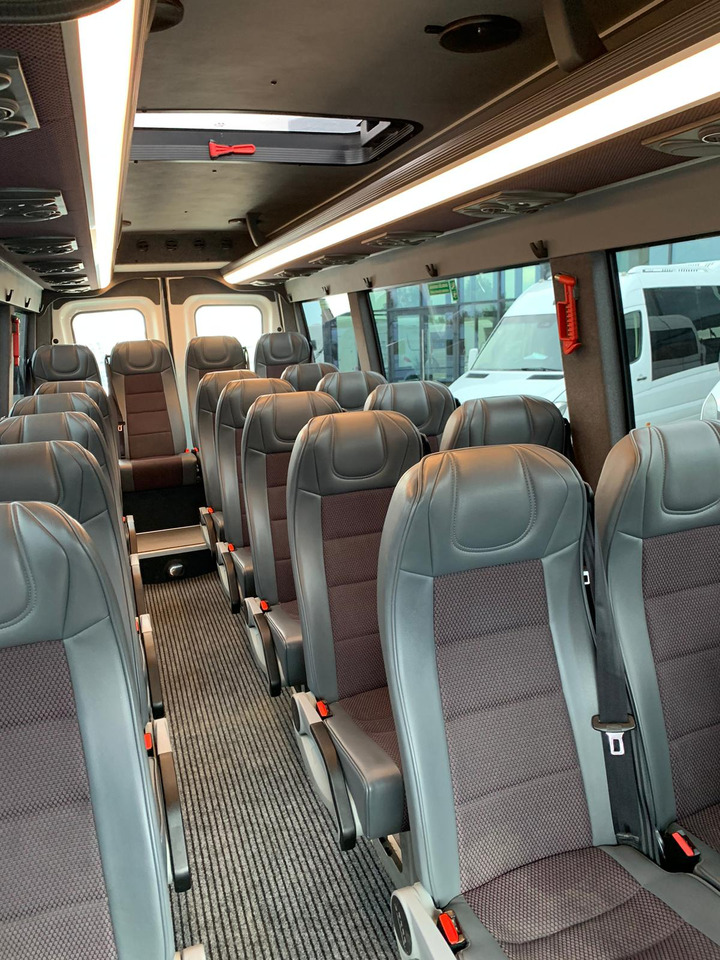 Coach Iveco Daily- 21 Miejsc: picture 18