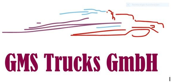 MAN 811540361390 Euro 6 ADBlue Pumpe Dosiereinheit Emitec - Exhaust system for Truck: picture 5 MAN 811540361390 Euro 6 ADBlue Pumpe Dosiereinheit Emitec - Exhaust system for Truck: picture 5