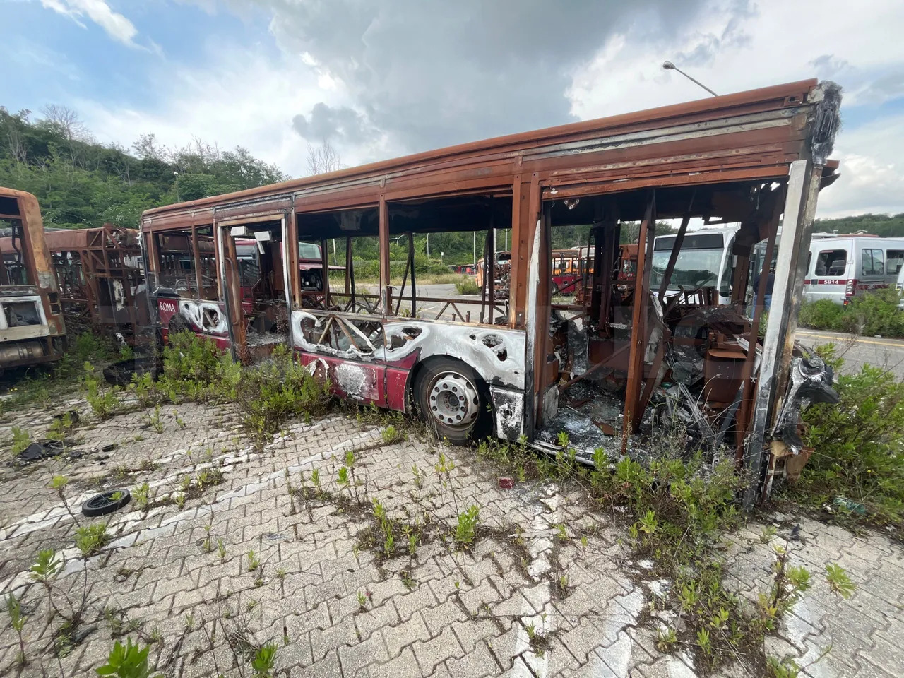 Bundle di 7 mezzi Iveco - Citelis Iveco - Citelis Iveco - Citelis Iveco - Citelis Iveco - Citelis Iveco - Citelis Iveco - Citelis - City bus: picture 3 Bundle di 7 mezzi Iveco - Citelis Iveco - Citelis Iveco - Citelis Iveco - Citelis Iveco - Citelis Iveco - Citelis Iveco - Citelis - City bus: picture 3