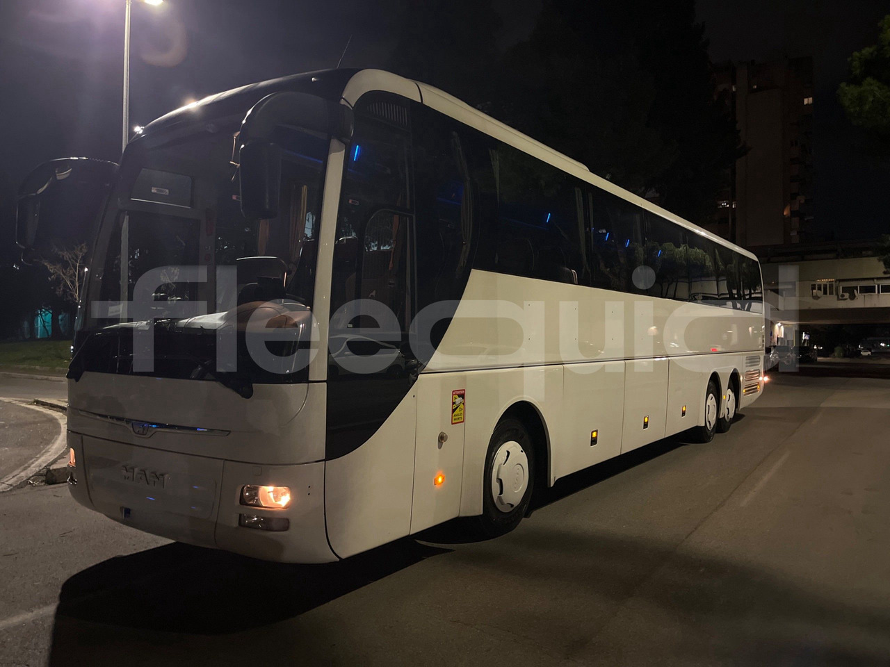 Man Lion's Coach - Coach: picture 4 Man Lion's Coach - Coach: picture 4